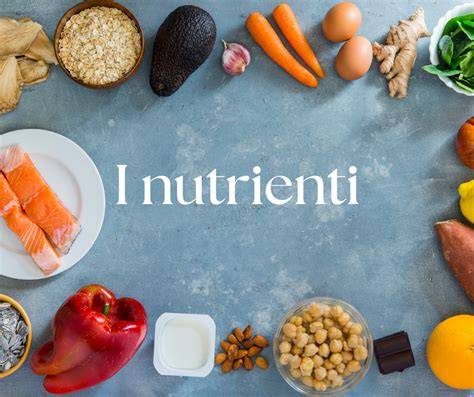 Diagrama nutrienti principali in alaptare