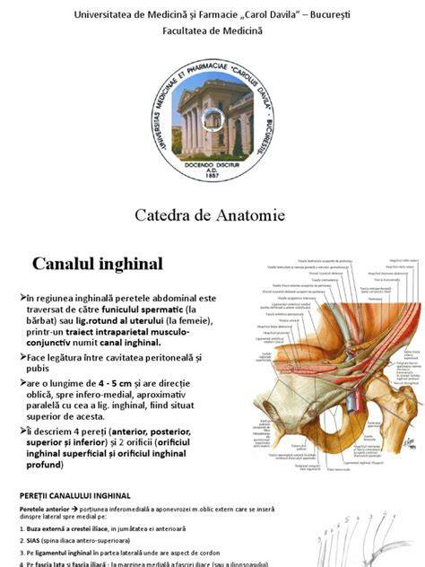 Infografic: Anatomia canalului peritoneo-vaginal, mecanismul herniei inghinale la copii
