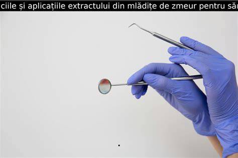 Infografic: Procesul de obținere a extractului din mlădițe de zmeur prin macerare hidro-glicero-alcoolică