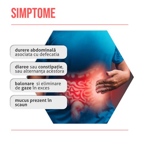 Schema simptomelor de durere abdominală la câini