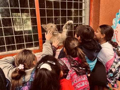 copii la Grădina Zoologică