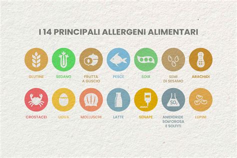 Infografic: potentiale alergeni oculari si mecanismul histaminei