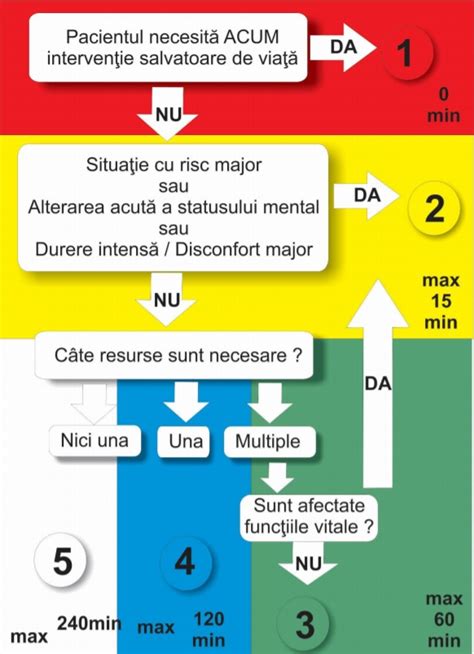 Infografic: lanțul decizional în UPU Pediatrie și fluxul de personal