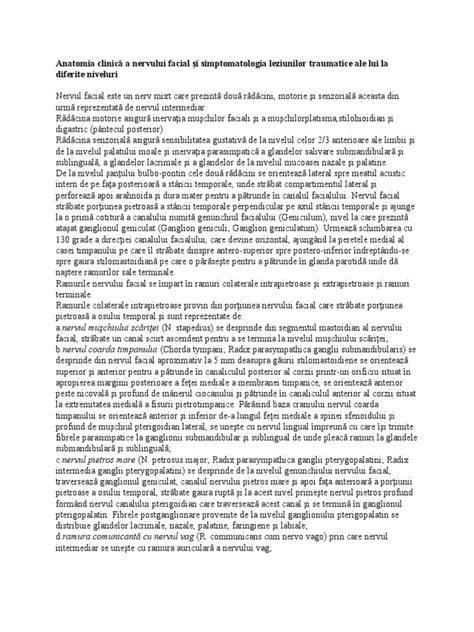 Infografic despre anatomia nervului facial și ramurile sale