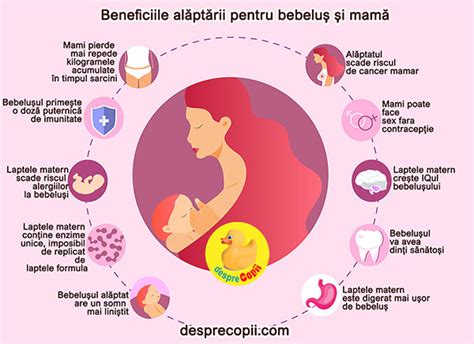 Infografic: Compozitie materiale si beneficii pentru piele sensibila
