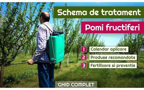 Pamant fertil pentru pomi fructiferi - diagrama indicatorilor nutritiei si drenajului