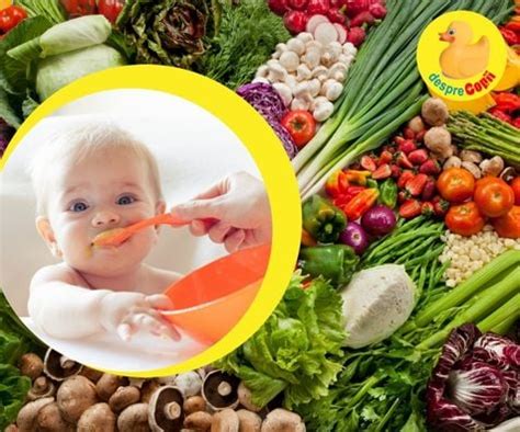 Infografic: Ghid rapid pentru introducerea dovlecelului în alimentația bebelușului