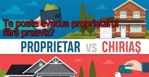 Infographic: Drepturi și obligații între chiriaș și locator