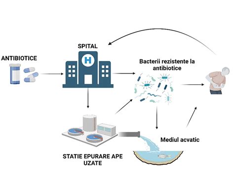 Infografic: Căi de transmitere și etape ale paraziților intestinali la copii