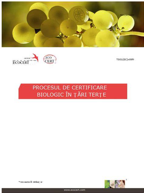 Grafic: procesul de certificare GOTS și lanolina naturală