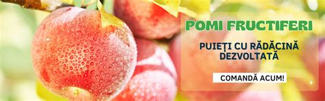 Infografic: Soluri potrivite pentru pomi fructiferi (prezentând cernoziomuri, brun-roșcate, humus, drenaj, pH