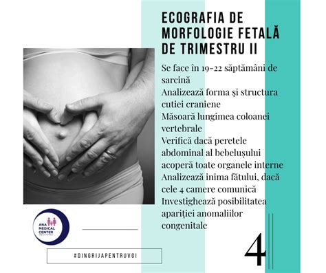 Reprezentare protocol morfologie făt trimestru I