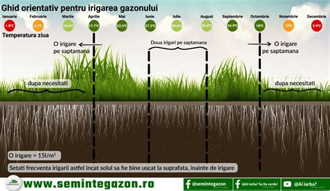 Infografic: ciclul fertilizării gazonului pe parcursul anului