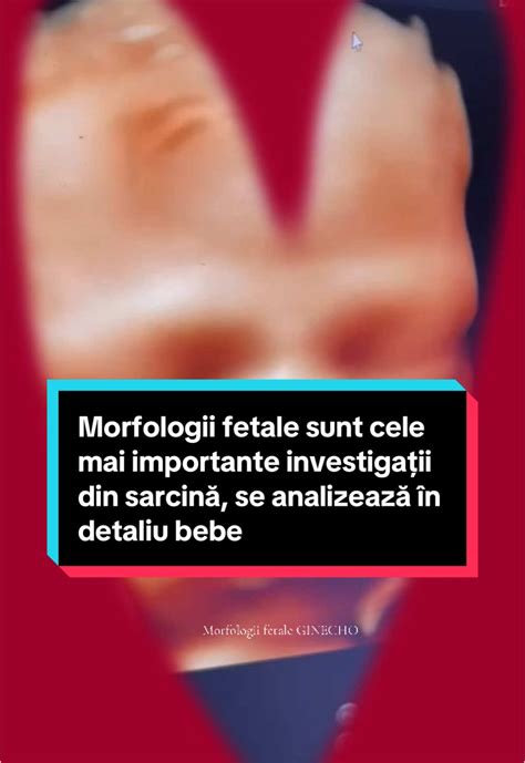 Imagini cu ecografii in diferite stadii ale sarcinii