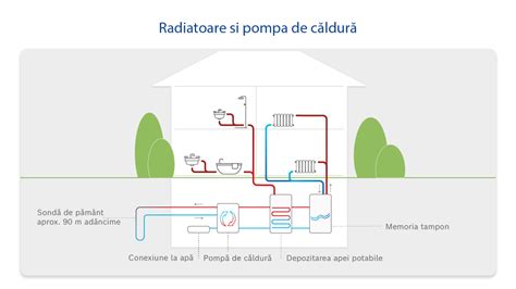 Infografic: Cum functioneaza paturile pentru calorifer