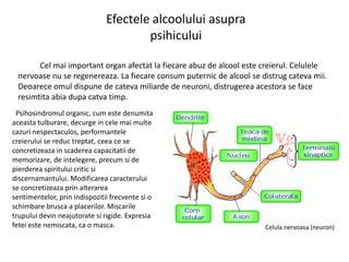 Accente grafice despre efectele substantelor nutritive asupra creierului