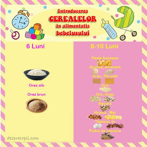 Infografic: Ghid de introducere a painii in alimentatia bebelusului, varste recomandate si atentionari privind alergiile