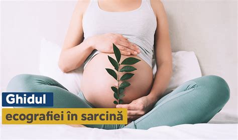 Infografic despre etapele ecografiei de sarcină