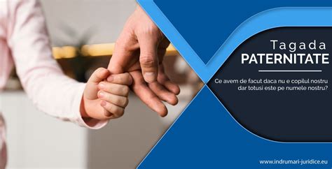 Infografic: Prezumția de paternitate - Copil născut în timpul căsătoriei