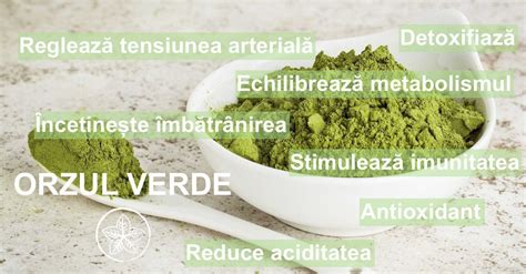 Infografic: Cum functioneaza Mirena si efectele sale asupra endometrului