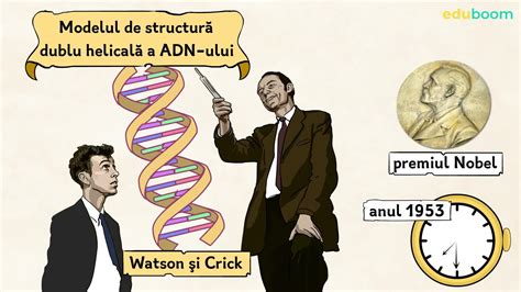 Reprezentare grafică a ADN-ului