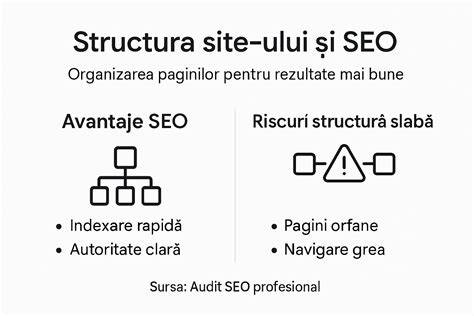 Infografic - Structura secției și fluxul de îngrijire