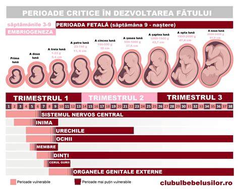 Diagramă a frecvenței vizitelor în sarcină pe trimestre