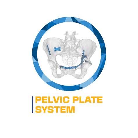 Bazinet pelvic