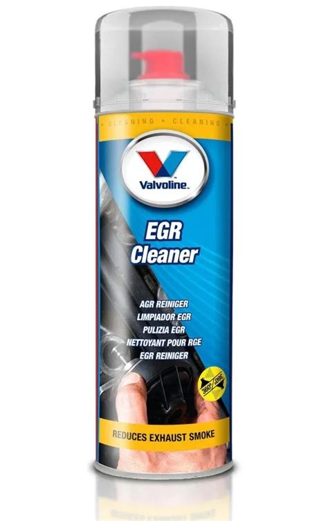 EGR curatat si adaptat