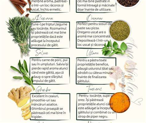 Infografic: istoria condimente Kotányi și recomandări gust
