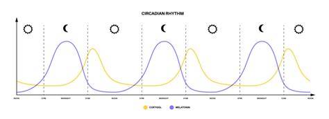 Diagrama ritmului circadian și propensiunile de inconsecvență în metabolism