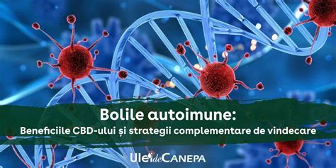 Grafic demonstrând creșterea bolilor autoimune