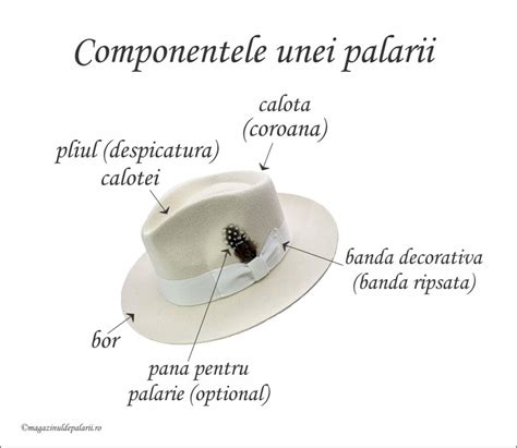 Infografic: Componentele unei garderobe de bebe cu vestimentație Melc