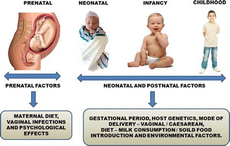 Grafic comparativ concediu prenatal vs. postnatal