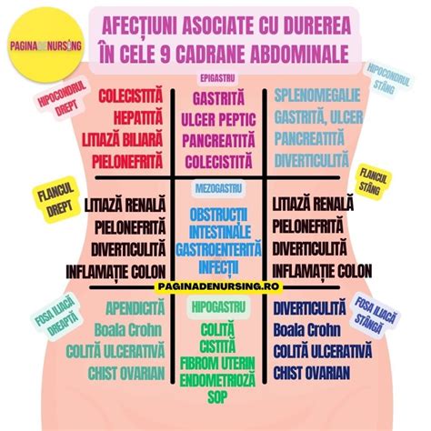 Diagrama corpului uman cu zonele durerii abdominale