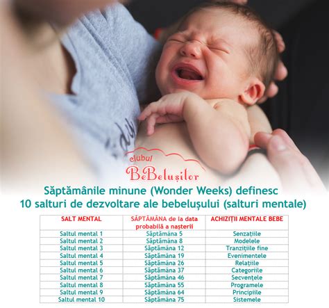 Infografic cu săptămânile de sarcină și perioadele de concediu