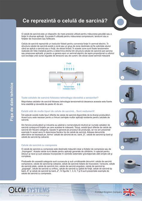 Infografic: flux de lucru pentru calibrarea celulelor de sarcină