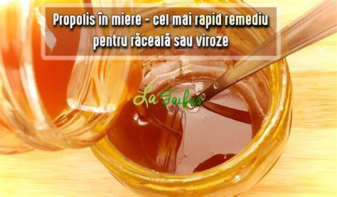 Infografic: Propolis și miere în sarcină - beneficii, riscuri, recomandări