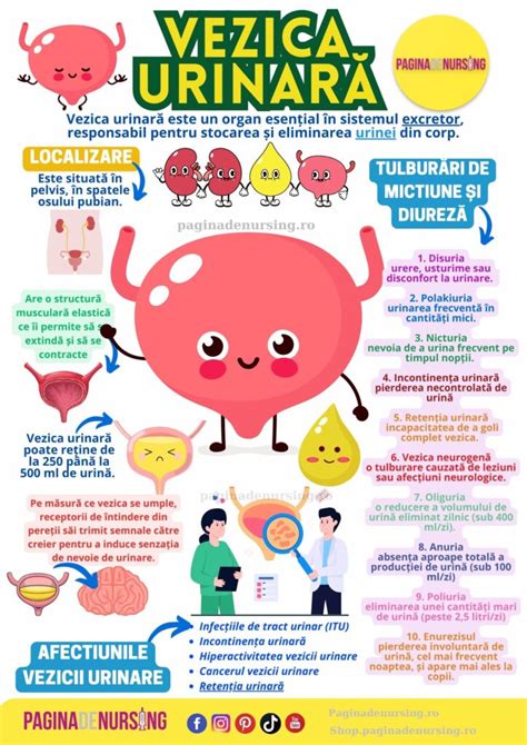 Infografic despre straturi de absorbție și protecția 3-sensuri a scutecelor
