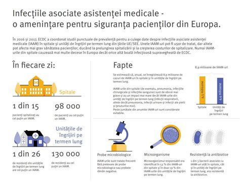 Infografic: principalele bacterii asociate cu infecțiile vaginale în sarcină