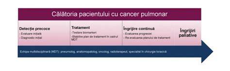 Infografic: Călătoria pacientului pediatru de la programare la tratament