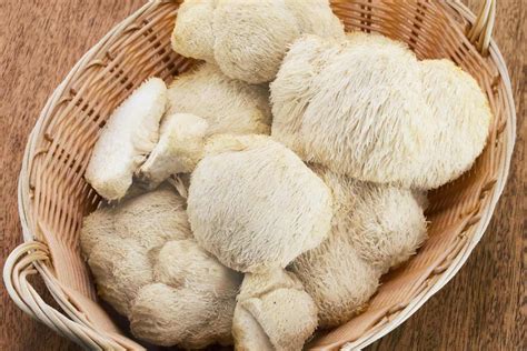 Infografic: Beneficiile Coama-leului (Hericium erinaceus) pentru sănătate