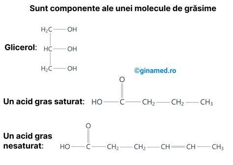 Diagrama structurii membranei amniotice si a rolurilor sale