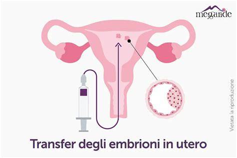Schema transfer embrioni cu cateter ecoghidat