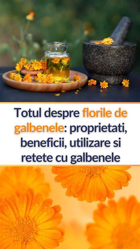 Infografic: ciclul de fabricație al cremei de galbenele și ingrediente-cheie