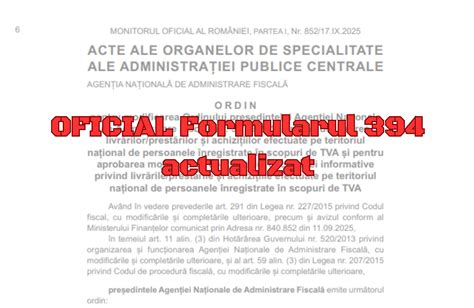 Structura declarației informative TVA 394