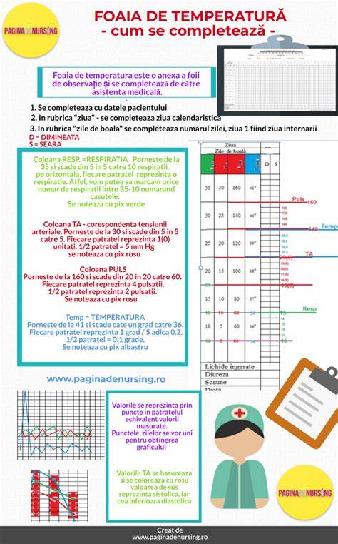 Infografic: Configurarea cotețului, temperatură, iluminare, și rutine de hrănire pentru puii de găină