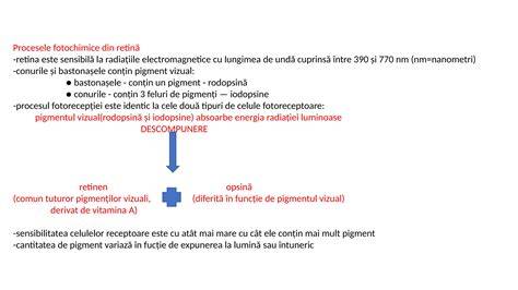 Diagramă: cum variază producția de vitamina D în funcție de sezon