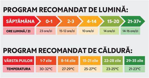 Diagrama comparativă a temperaturilor ideale în primele săptămâni de viață ale puilor