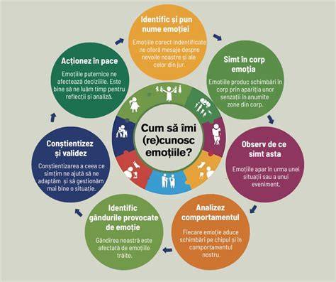 Infografic: cele 5 elemente ale homeopatiei (etiologie, RIB, tipul sensibil, modul reacțional cronic, similitudinea)